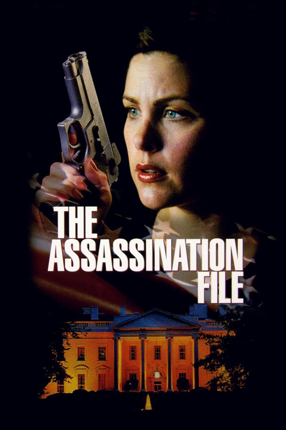 Постер The Assassination File